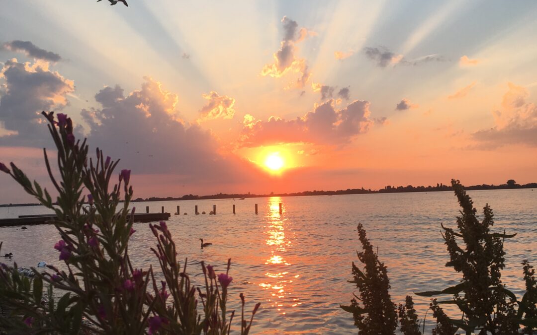 One Day retreat boottocht Yoga & Ademreis