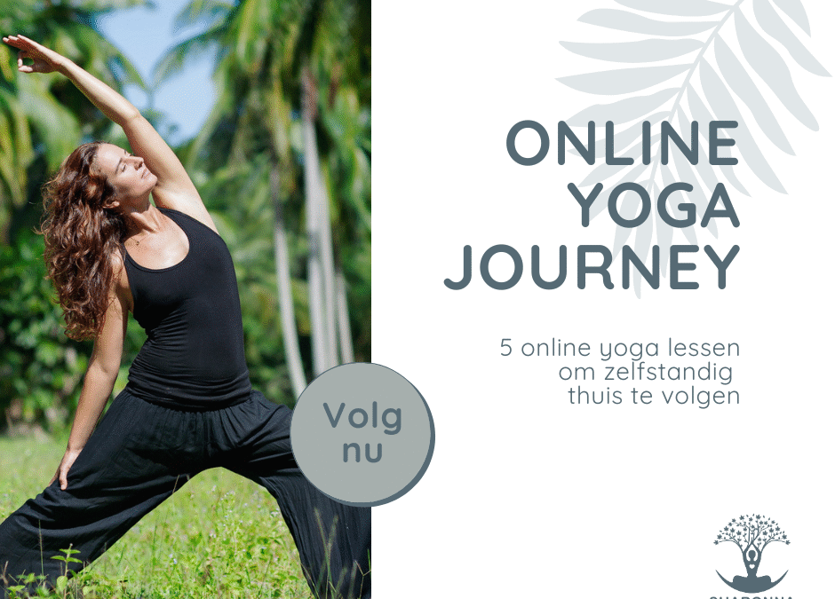 Nieuw: online yoga journey – Tune in, get stretched & sleep like a Goddess